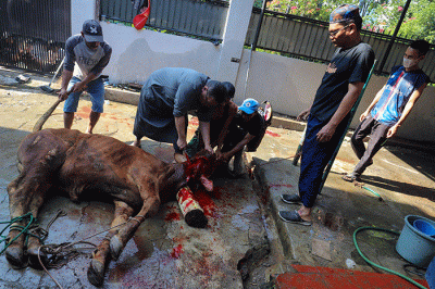 Sejumlah warga memotong daging hewan kurban di Kantor Sekretariat Pimpinan Cabang Muhammadiyah (PCM) Tebet Barat, Jakarta Selatan, Sabtu (9/7/2022).