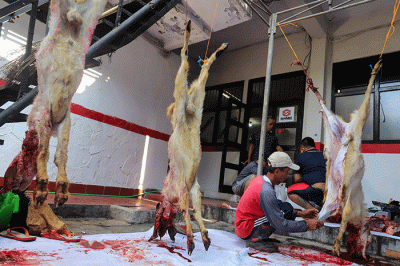 Sejumlah warga memotong daging hewan kurban di Kantor Sekretariat Pimpinan Cabang Muhammadiyah (PCM) Tebet Barat, Jakarta Selatan, Sabtu (9/7/2022).