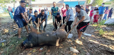 Sejumlah warga memotong daging hewan kurban di kawasan Pedurenan, Kota Bekasi, Jawa Barat, Minggu (10/7/2022).