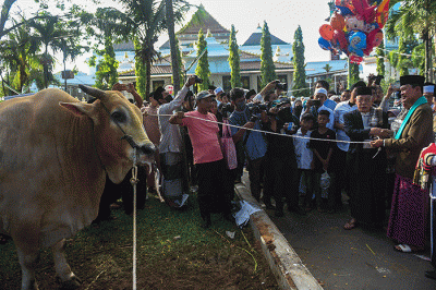 Suasana pemotongan hewan kurban Idul Adha 1443 H di halaman Yayasan Pendidikan Sjakhyakirtidi Jalan Sultan Muhammad Mansyur, Palembang, Minggu (10/7/2022).