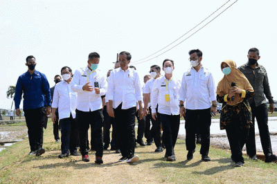 Presiden Joko Widodo meninjau langsung Balai Besar Penelitian Tanaman Padi (BBPadi) di Kabupaten Subang, Jawa Barat, Selasa (12/7/2022).