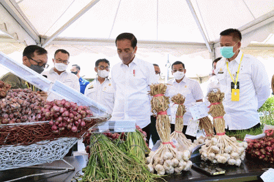 Presiden Joko Widodo meninjau langsung Balai Besar Penelitian Tanaman Padi (BBPadi) di Kabupaten Subang, Jawa Barat, Selasa (12/7/2022).