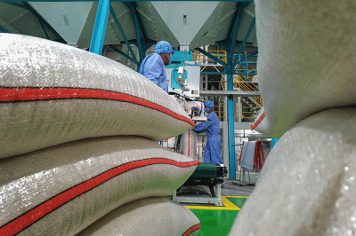 Direktur Utama Bulog Budi Waseso meninjau langsung infrastruktur pengolahan beras modern atau modern rice milling plant (MRMP) di Kendal, Jawa Tengah.
