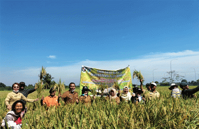 Program SIMURP merupakan salah satu program andalan Kementan melalui penerapan teknologi andalannya yaitu, Climate Smart Agriculture (CSA).