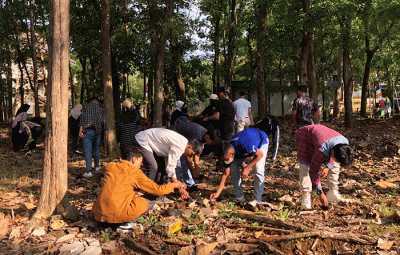 Mahasiswa baru Universitas Negeri Semarang membersihkan sampah plastik di lingkungan kampus dalam kegiatan Program Pengenalan Kehidupan Kampus Mahasiswa Baru.