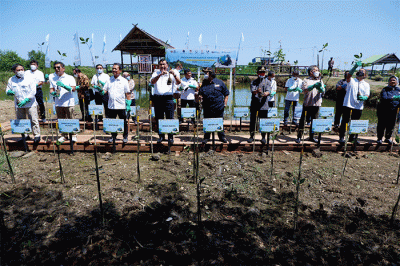 Program Rehabilitasi Kawasan Mangrove seluas 31 Hektar di kawasan Mangambang, Kabupaten Maros, Makassar, Jumat (19/8/2022).
