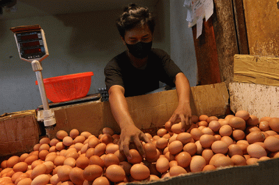 Pedagang menata telur ayam di Jakarta, Senin (22/8/2022).
