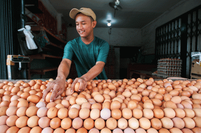 Pedagang telur saat merapikan dagangannya di kawasan Jakarta Timur, Kamis (25/8/2022).