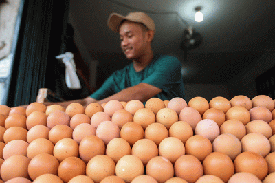 Pedagang telur saat merapikan dagangannya di kawasan Jakarta Timur, Kamis (25/8/2022).