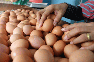 Pedagang menata telur di kawasan Pasar Serdang Kemayoran, Jakarta, Sabtu (27/8/2022).