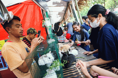 Pedagang menunjukkan kelinci dalam Pameran Flora & Fauna 2022 di Taman Lapangan Banteng, Jakarta, Minggu (28/8/2022).