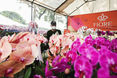 Pedagang menunjukkan kelinci dalam Pameran Flora & Fauna 2022 di Taman Lapangan Banteng, Jakarta, Minggu (28/8/2022).