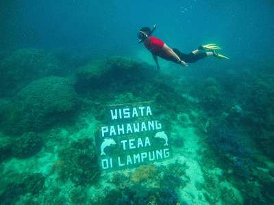 Menparekraf Sandiaga Salahuddin Uno meminta agar pelaku pariwisata dan masyarakat di Desa Wisata Pulau Pahawang Lampung fokus untuk mengembangkan potensi alam.