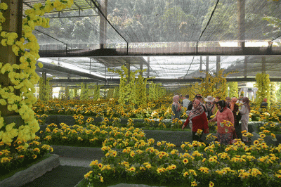 Wisatawan menikmati sejumlah wahana di Bukit Sekipan, Kalisoro, Tawangmangu, Kabupaten Karanganyar, Jawa Tengah.