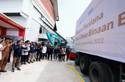Dengan adanya pendampingan program bersama BSI, ditargetkan periode produksi menjadi 3 kali setahun dari semula hanya 1 kali dalam setahun.