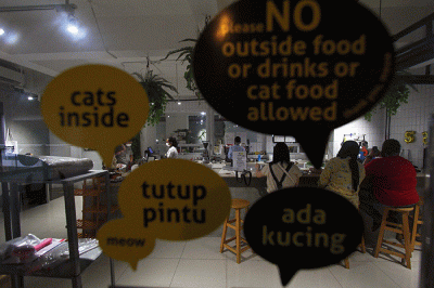 Pengunjung bermain dengan kucing sambil menikmati makanan di Kafe Pecinta Kucing BSD Serpong, Tangerang Selatan, Banten, Kamis (8/9/2022).