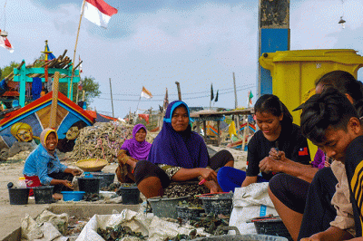 Suasana Aktivitas para nelayan dan suasana hutan mangrove di desa Ambulu, desa yang terletak di utara pasar bawang Losari, Jawa Barat, Minggu (25/9/2022).