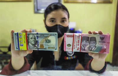 Petugas menunjukkan mata uang Rupiah dan Dolar AS di tempat penukaran uang Dolar Indo, Jakarta, Selasa (11/10/2022).