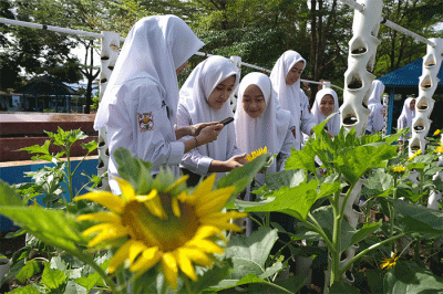 Sejumlah siswa belajar bercocok tanam di kebun sekolah SMA Negeri 10 Makassar, Selasa (11/10/2022).