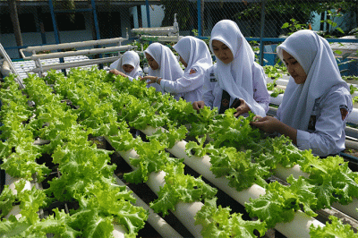 Sejumlah siswa belajar bercocok tanam di kebun sekolah SMA Negeri 10 Makassar, Selasa (11/10/2022).