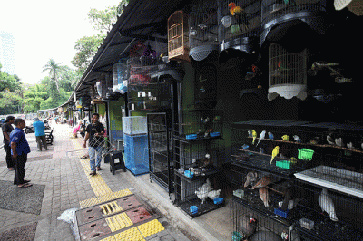 Para pedagang saat menunggu pembeli di pasar hewan Barito, Kebayoran Lama, Jakarta, Selasa (25/10/2022).