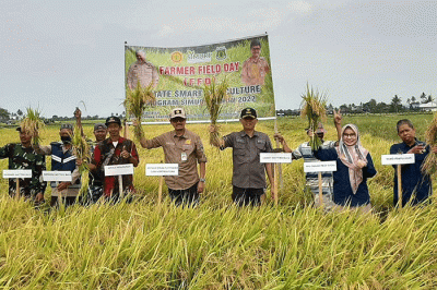 Kementan melalui program-program unggulannyanya terus mendorong para petani untuk meningkatkan produksi dan produktivitasnya.
