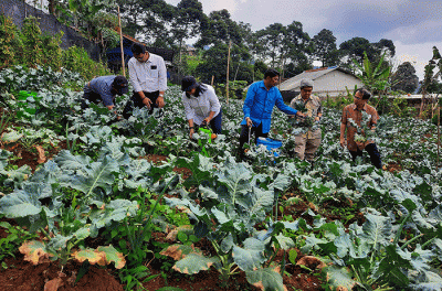 Soft Launching Program Pembinaan UMKM di Wilayah Puncak Dua, Jawa Barat, Senin (31/10/2022).