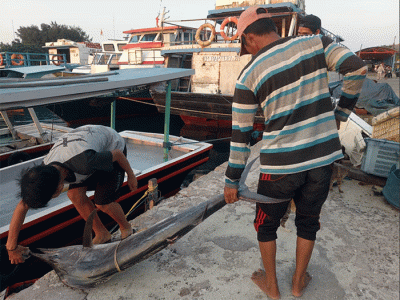 Aktivitas nelayan di Pulau Panggang, Kepulauan Seribu, Senin (31/10/2022).