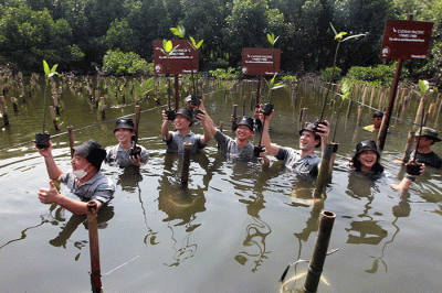 Penanaman pohon mangrove di Taman Wisata Alam Mangrove Angke, Kapuk, Jakarta, Selasa (1/11/2022).
