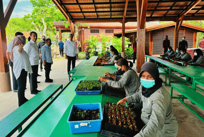 Presiden Joko Widodo melakukan peninjauan ke Taman Hutan Raya (Tahura) Ngurah Rai, Kota Denpasar, Selasa (8/11/2022).