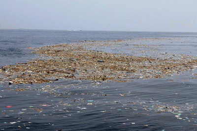 Petugas mengambil Sampah di Dermaga Utama Pulau Pramuka, Provinsi DKI Jakarta, Selasa (8/11/2022).