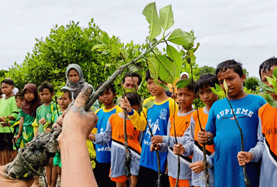 Para anggota Jurnalis Mancing Indonesia bersama anak anak sekolah dasar menanam bibit pohon mangrove di desa Ambulu, Kecamatan Losari, Kabupaten Cirebon.