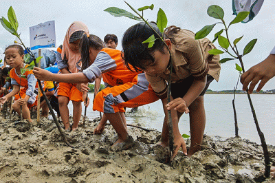 Para anggota Jurnalis Mancing Indonesia bersama anak anak sekolah dasar menanam bibit pohon mangrove di desa Ambulu, Kecamatan Losari, Kabupaten Cirebon.