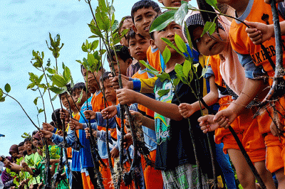 Para anggota Jurnalis Mancing Indonesia bersama anak anak sekolah dasar menanam bibit pohon mangrove di desa Ambulu, Kecamatan Losari, Kabupaten Cirebon.