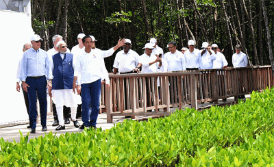 Presiden Joko Widodo mengajak pemimpin negara G20 ke Taman Hutan Raya Bakau, di Denpasar Bali.