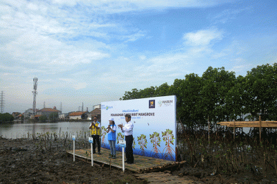 Penanaman bibit mangrove di Banjir Kanal Barat, Tambakrejo, Semarang, Jawa Tengah, Kamis (24/11/2022).