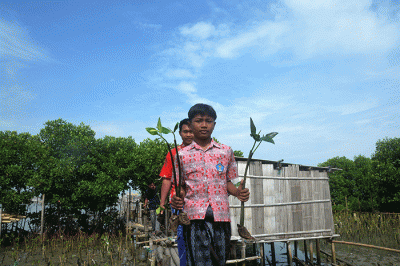 Penanaman bibit mangrove di Banjir Kanal Barat, Tambakrejo, Semarang, Jawa Tengah, Kamis (24/11/2022).