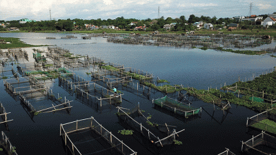 Kawasan budidaya ikan air tawar di Danau Balang Tonjong, Kelurahan Antang, Kecamatan Manggala, Makassar, Jumat (2/12/2022). 