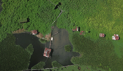 Kawasan budidaya ikan air tawar di Danau Balang Tonjong, Kelurahan Antang, Kecamatan Manggala, Makassar, Jumat (2/12/2022). 