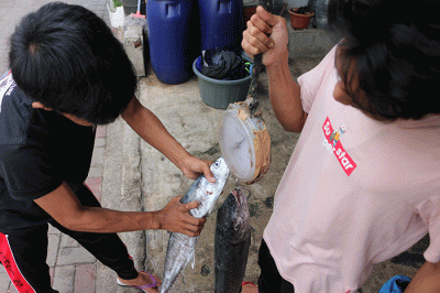 Pengepul ikan dan pembudidaya ikan keramba apung menunjukkan ikan di kawasan Pulau Panggang, Kepulauan Seribu Utara, Provinsi DKI Jakarta, Senin (5/12/2022).
