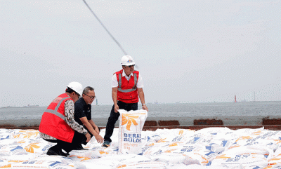 Menteri Perdagangan, Zulkifli Hasan menyatakan bahwa langkah impor beras dilakukan untuk menjaga kestabilan harga beras di pasar. 