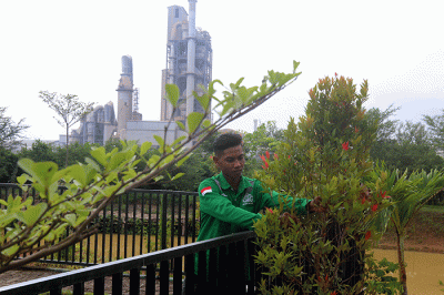 Pekerja merawat tanaman di Edupark, Pabrik Semen Gresik di Rembang, Jawa Tengah, Jumat (16/12/2022).