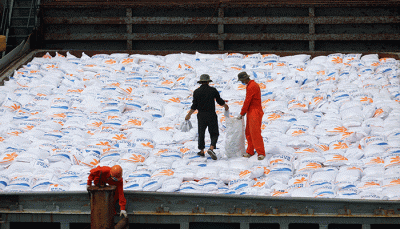 Pekerja menurunkan beras impor asal Vietnam milik Perum Bulog di Pelabuhan Tanjung Priok, Jakarta, Jumat (16/12/2022).
