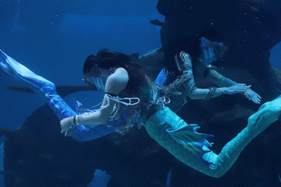 Pengunjung saat berswa foto di Jakarta Aquarium & Safari, Jakarta, Sabtu (17/12/2022). 