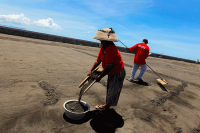Petani saat merapikan ladang garam setelah disiram air laut di Desa Kusamba, Bali, Selasa (20/12/2022).