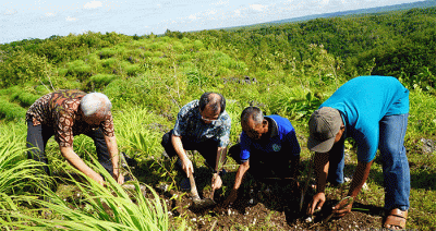 Program pembinaan yang melibatkan 19 petani di 2 kabupaten 6 desa ini merupakan program kolaborasi YDBA dan CV DAB Subur.