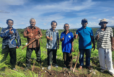 Program pembinaan yang melibatkan 19 petani di 2 kabupaten 6 desa ini merupakan program kolaborasi YDBA dan CV DAB Subur.