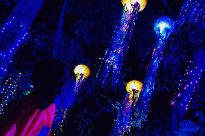Pengunjung berfoto berlatar lampu warna-warni yang menerangi pepohonan di Taman Sumenep Jakarta Pusat, Kamis, (29/12/2022).
