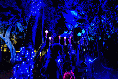 Pengunjung berfoto berlatar lampu warna-warni yang menerangi pepohonan di Taman Sumenep Jakarta Pusat, Kamis, (29/12/2022).