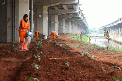 Petugas Dinas Pertamanan dan Kehutanan DKI Jakarta melakukan penataan lahan yang akan dibuat menjadi kawasan hijau di kolong Tol Becakayu.